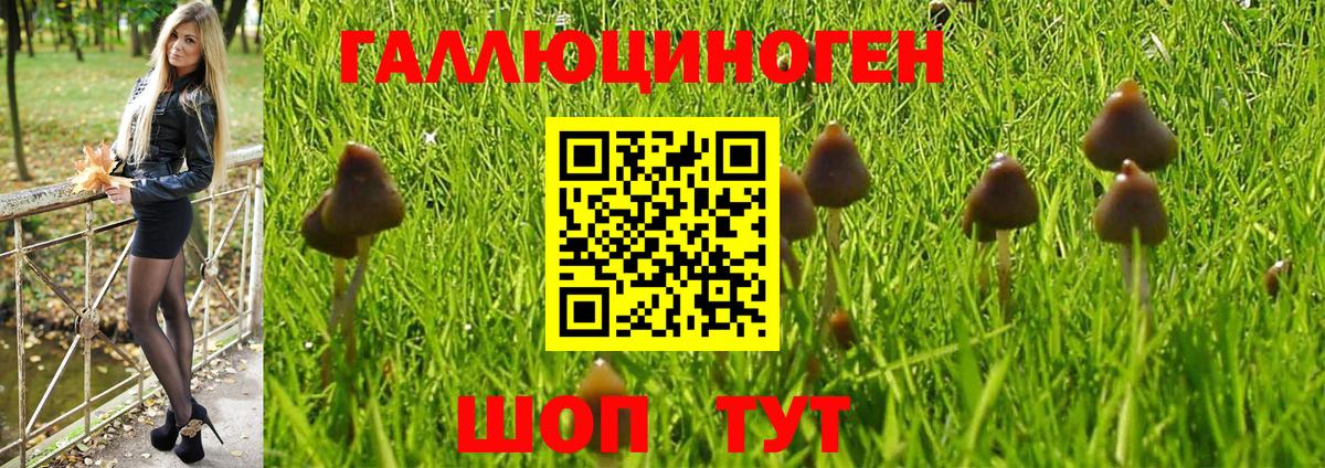 наркота  Вход с VPN  Домодедово  Псилоцибиновые грибы Magic Shrooms 